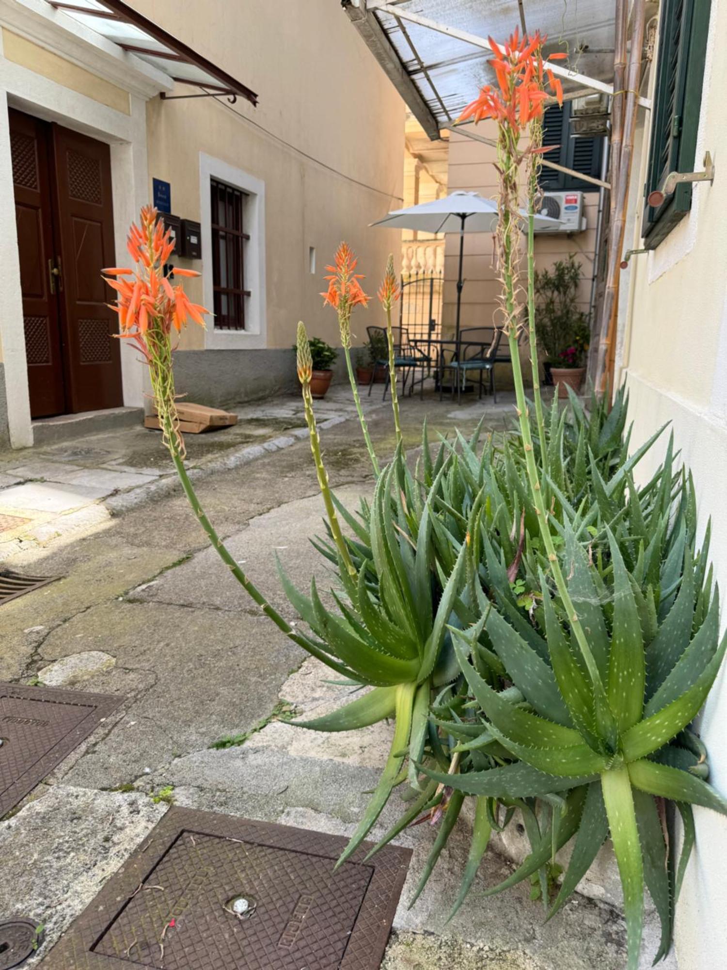 Apartment Mirna - What You See Is What You Get Opatija Exterior foto