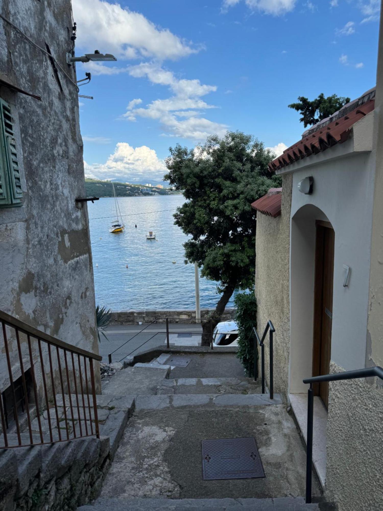 Apartment Mirna - What You See Is What You Get Opatija Exterior foto