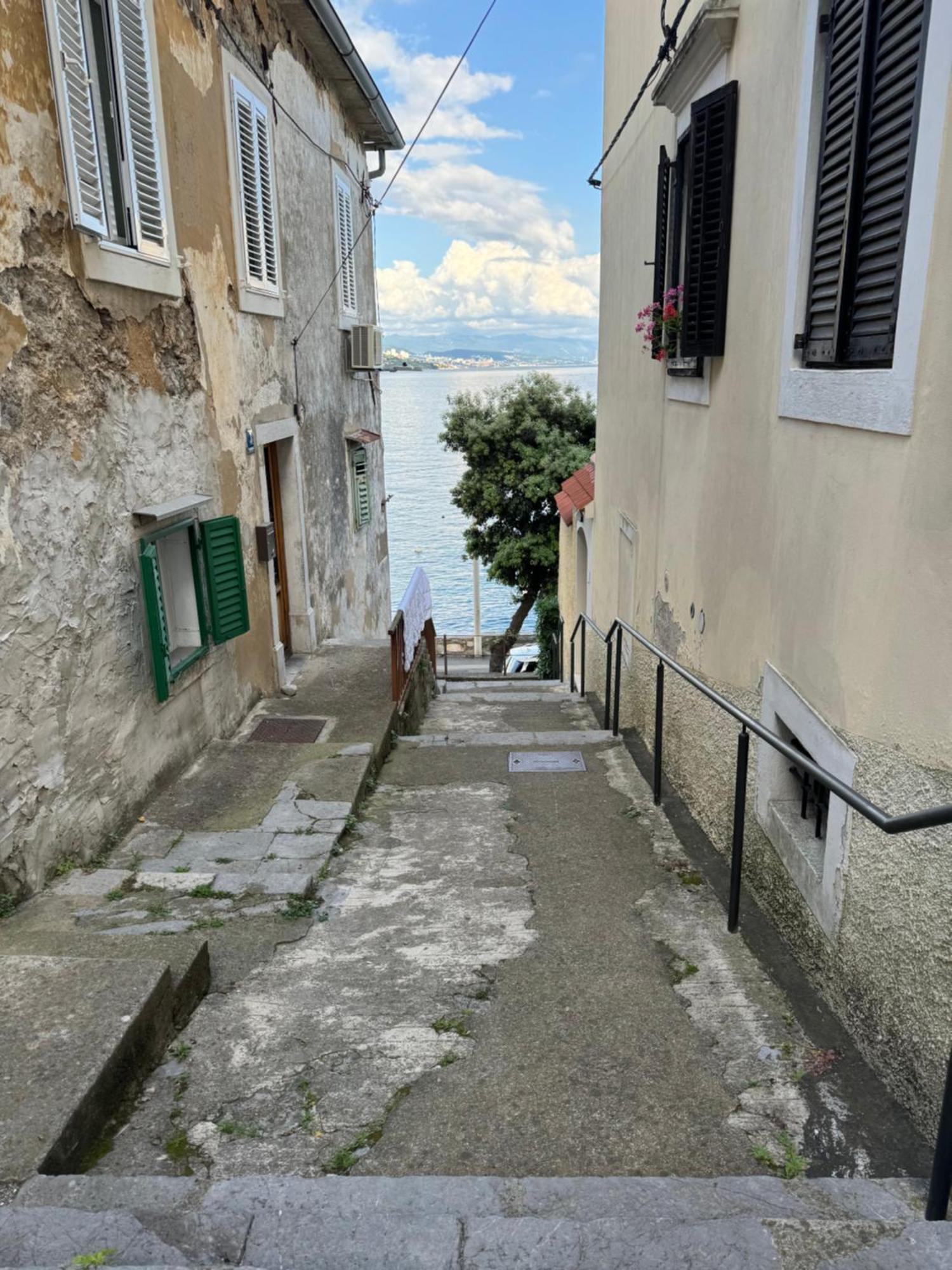 Apartment Mirna - What You See Is What You Get Opatija Exterior foto